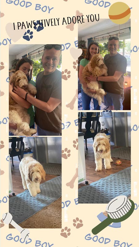 Bracha Poodles Doodles Adore You Scrapbook