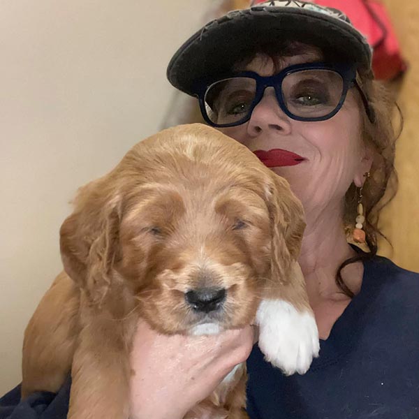 Bracha Poodles Doodles Carrie Sq 011