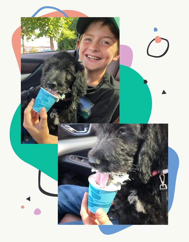 Bracha Poodles Doodles Ice Cream Scrapbook 625