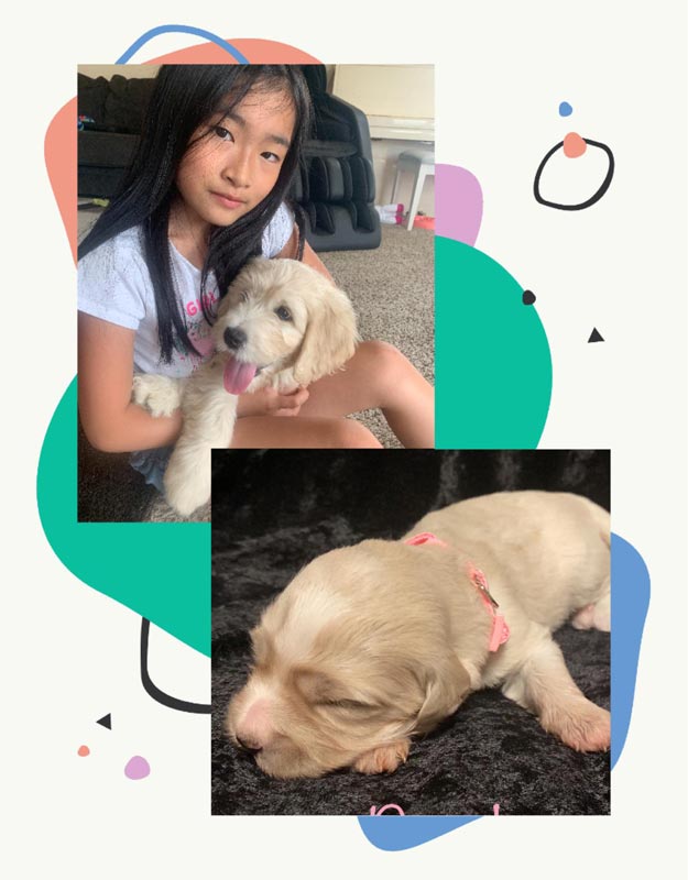 Bracha Poodles Doodles Puppy Love Scrapbook 625