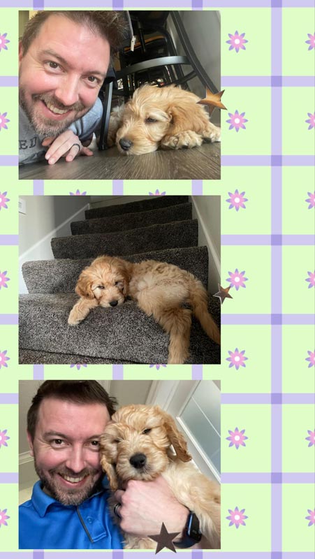 Bracha Poodles Doodles Puppy Love Scrapbook