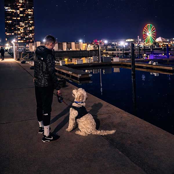 Bracha Poodles Doodles Review