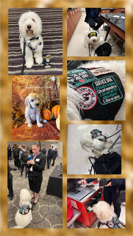 Bracha Poodles Doodles Service Dog Scrapbook