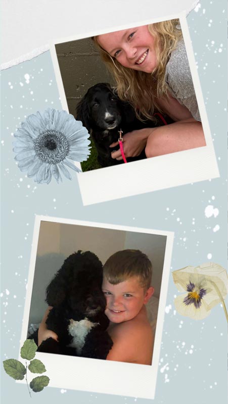 Bracha Poodles Doodles Two Dogs Scrapbook