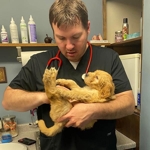 Bracha Poodles Doodles Vet Check Sq 004