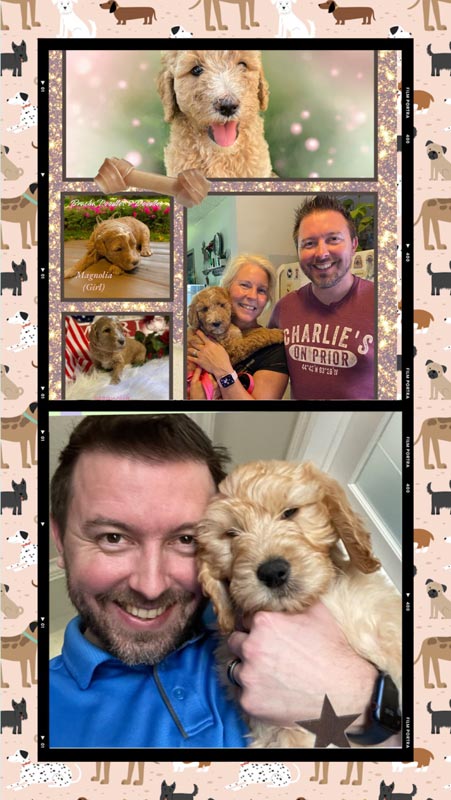 Bracha Poodles Doodles Mag Scrapbook