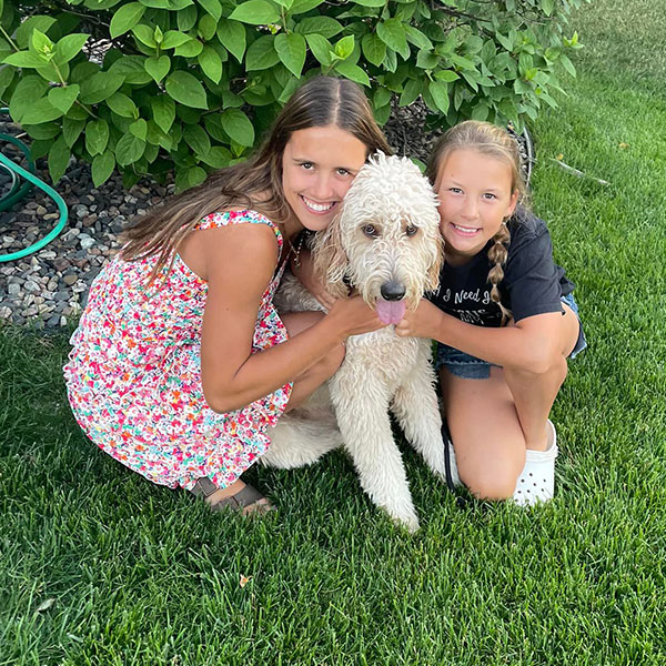 Goldendoodle Bracha Poodles Doodles Sq 005