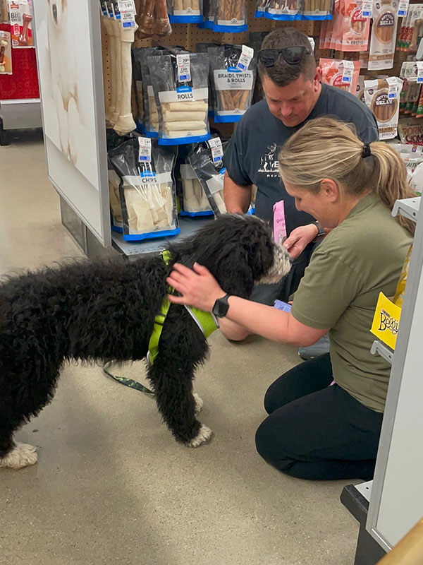 Rally Ray ( Pooh Bear)