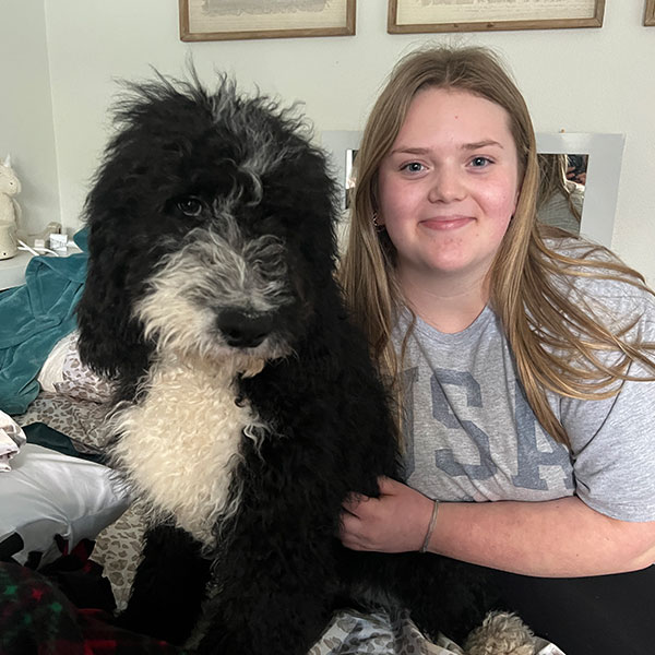 Bracha Poodles Doodles Bernedoodle 4home Sq 03