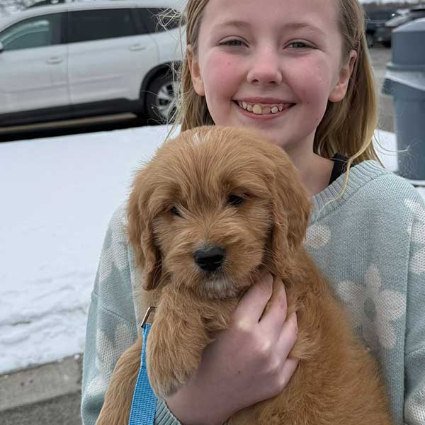 Bracha Poodles Doodles Goldendoodle 4home Sq 04