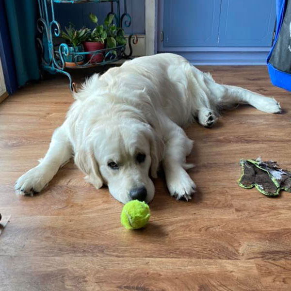 Reece Bracha Poodles Doodles Sq 03